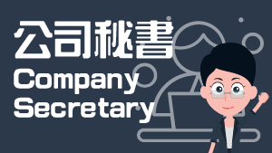Company Secretary Service Page link